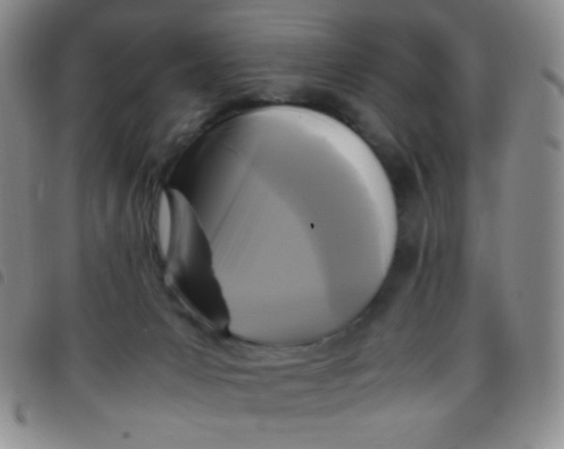 X0000097480031200803141945