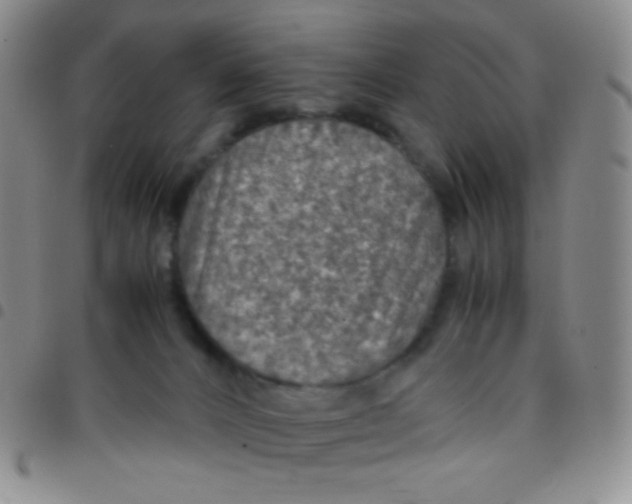 X0000097480032200803141945