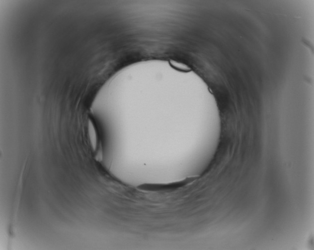 X0000097480033200803141945