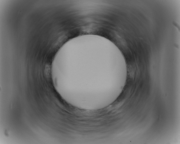 X0000097480036200803141944