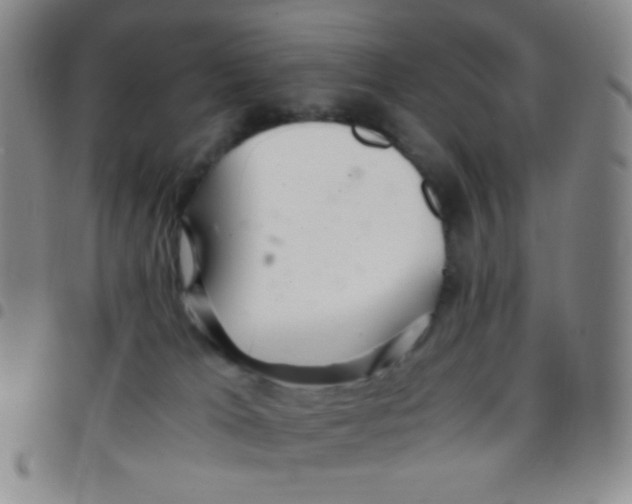 X0000097480037200803141944