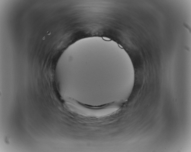 X0000097480039200803141944