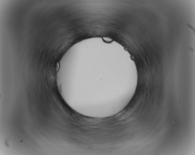 X0000097480040200803141944