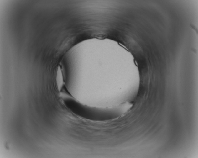 X0000097480041200803141944