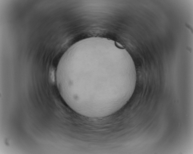 X0000097480042200803141944