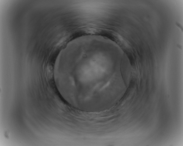 X0000097480043200803141944