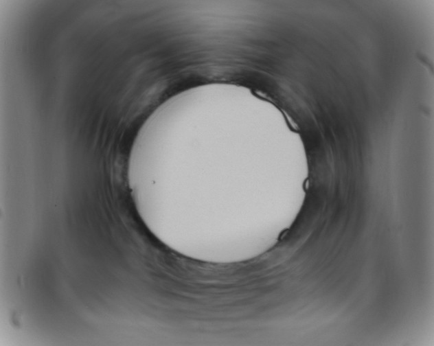 X0000097480044200803141944