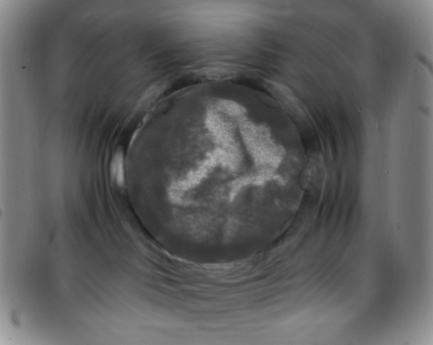 X0000097480046200803141944