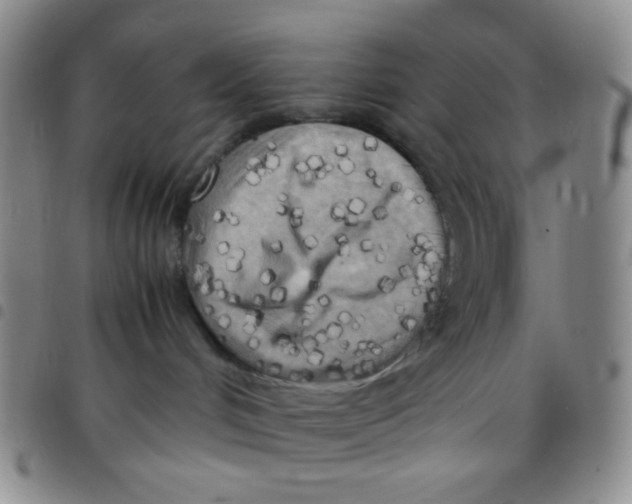 X0000097480048200803141944