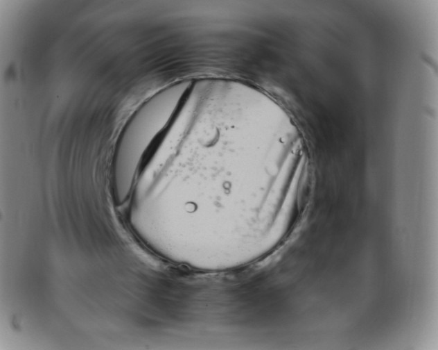 X0000097480049200803141944