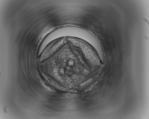 X0000097480050200803141944