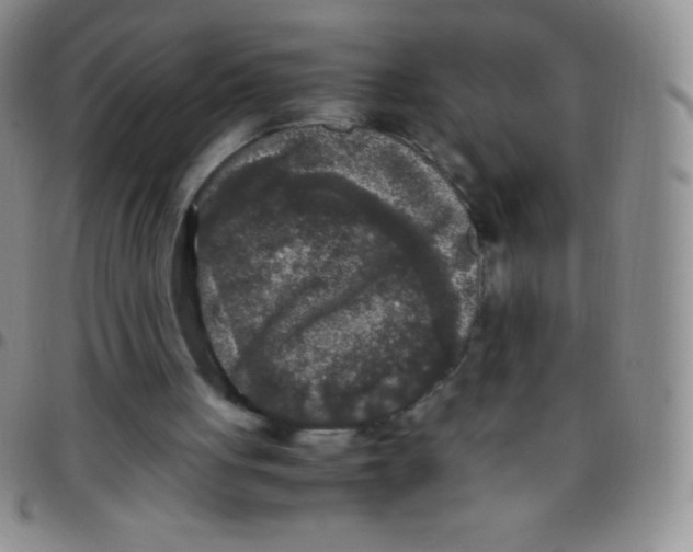 X0000097480051200803141944