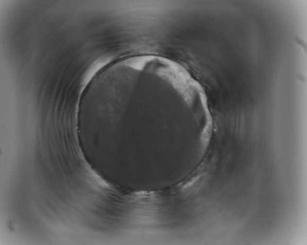 X0000097480052200803141944