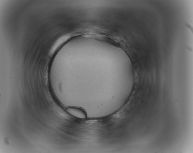 X0000097480054200803141944