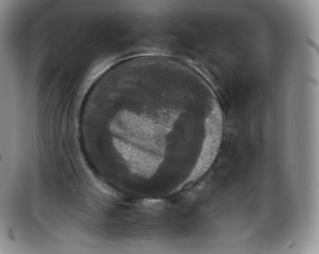 X0000097480055200803141944