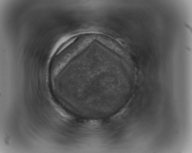 X0000097480056200803141944