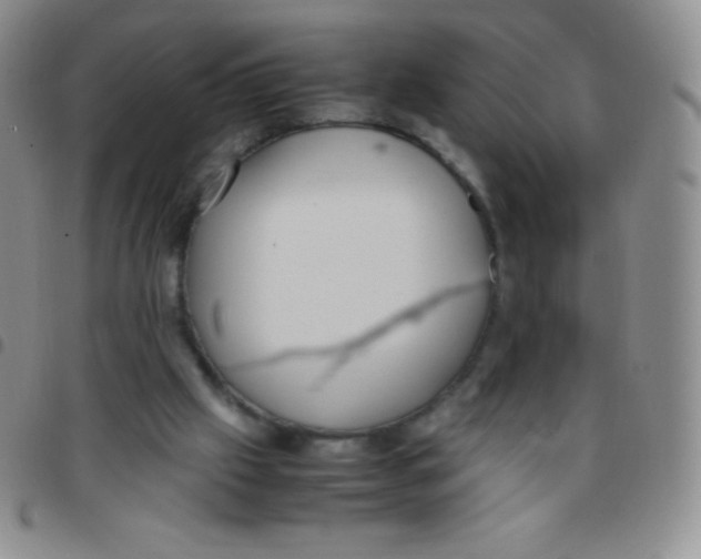 X0000097480057200803141944