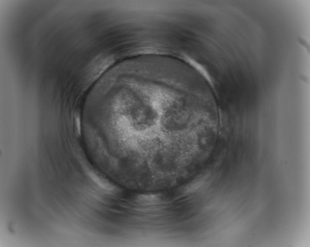 X0000097480061200803141944