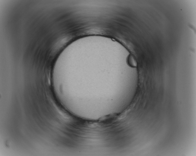 X0000097480062200803141944