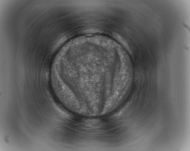 X0000097480063200803141944