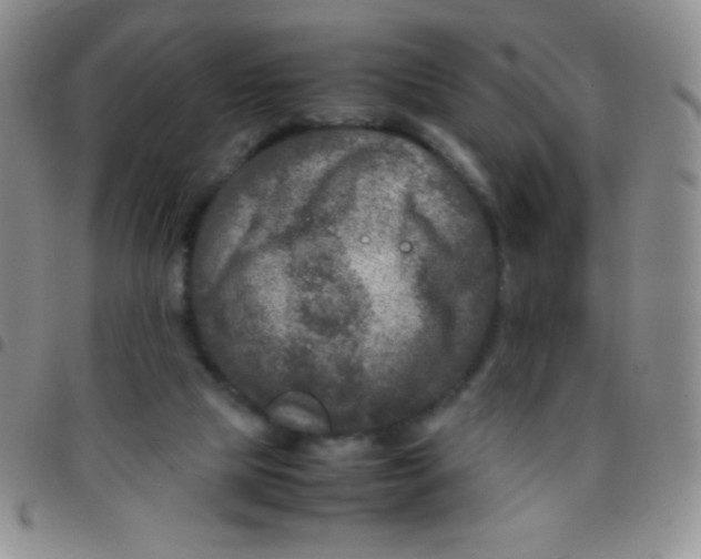 X0000097480065200803141944