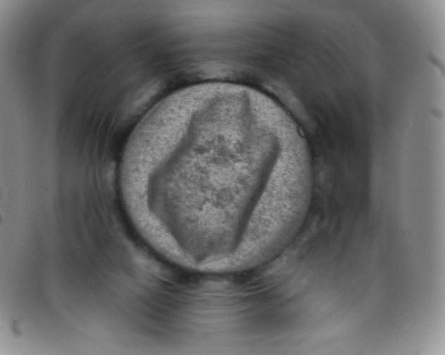 X0000097480066200803141944