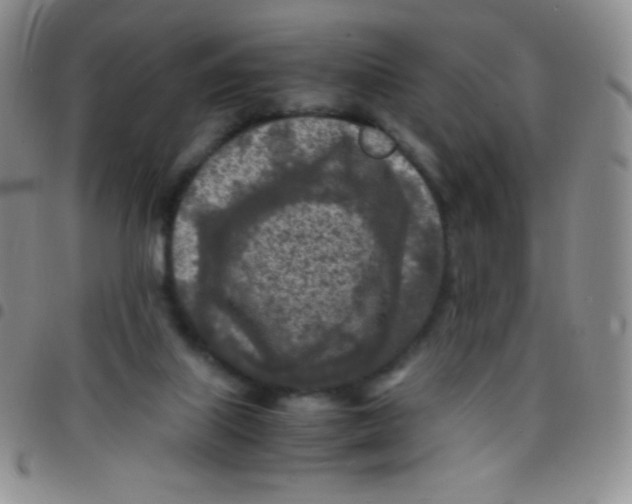 X0000097480067200803141944