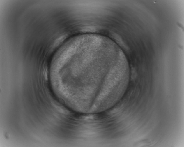 X0000097480068200803141944