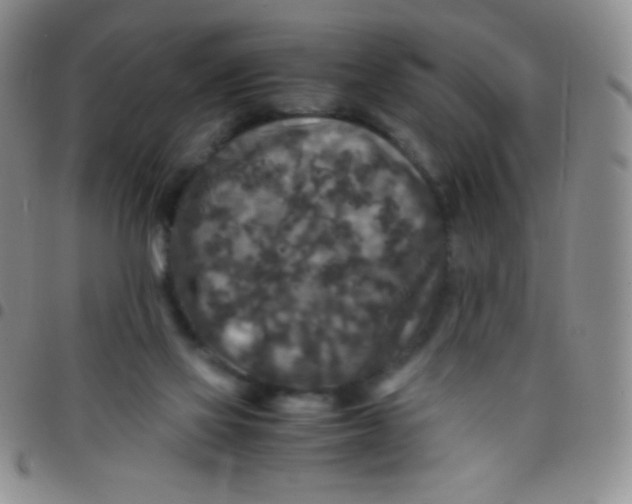 X0000097480069200803141944