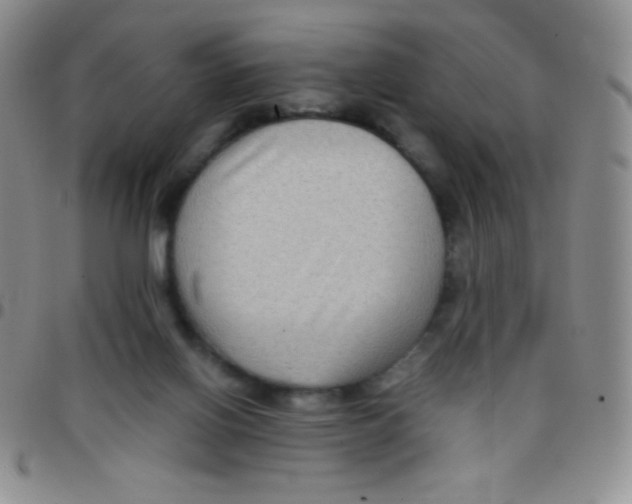 X0000097480070200803141944