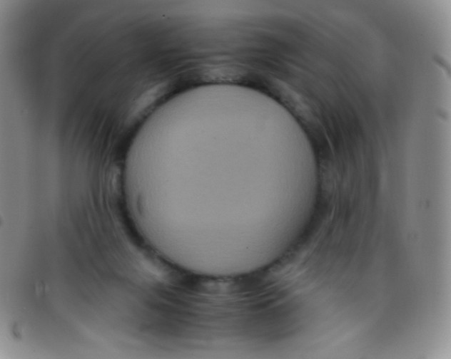 X0000097480071200803141944