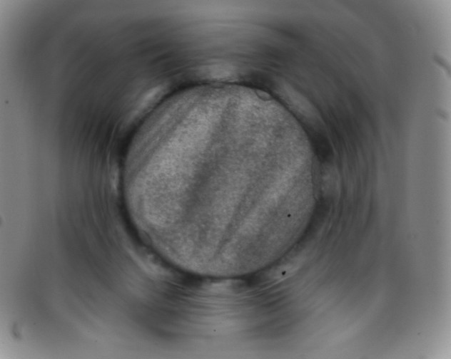 X0000097480072200803141944