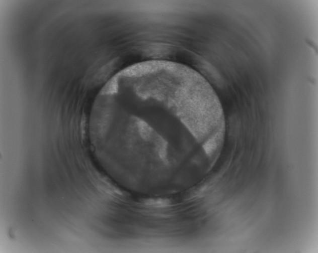 X0000097480073200803141944