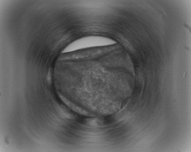 X0000097480074200803141944