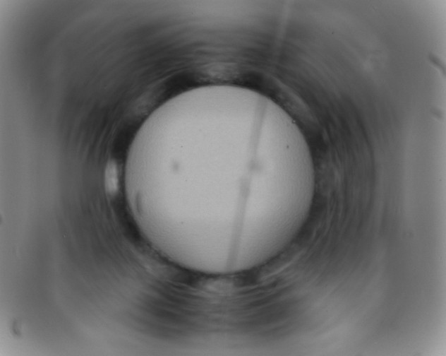 X0000097480075200803141944