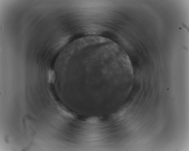 X0000097480076200803141944