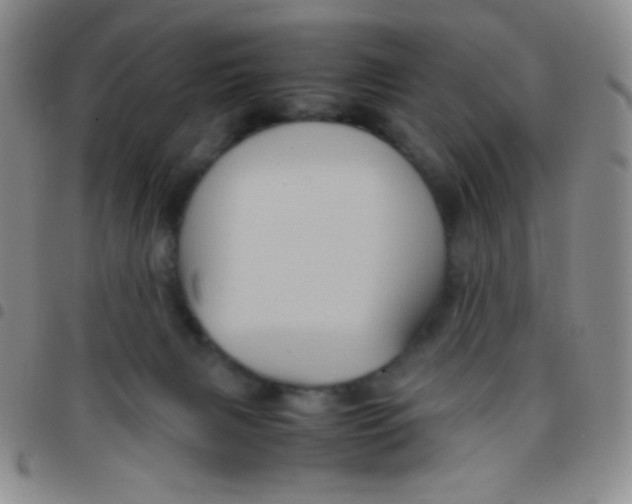 X0000097480079200803141944