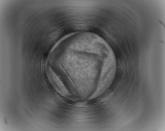 X0000097480080200803141944