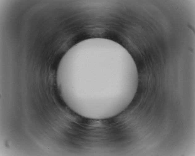 X0000097480083200803141944