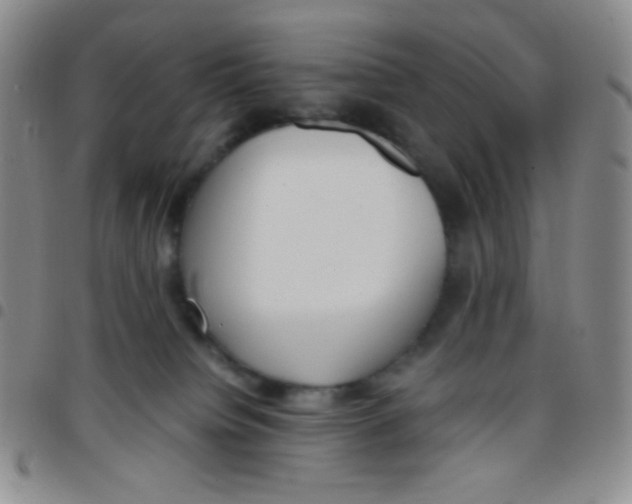 X0000097480084200803141944