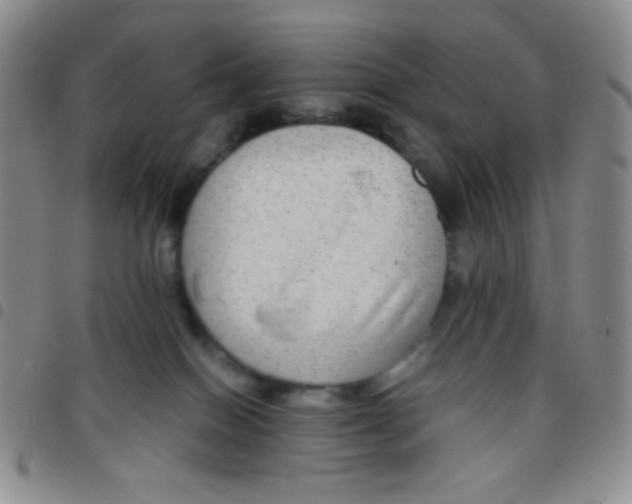 X0000097480086200803141944