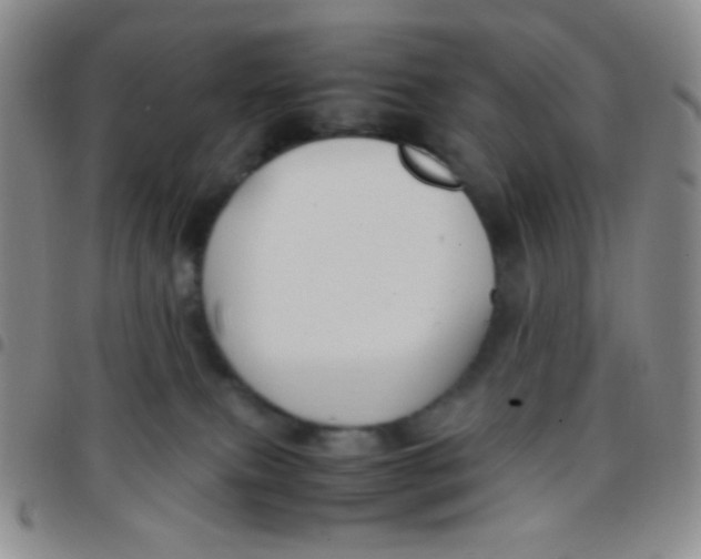 X0000097480087200803141944