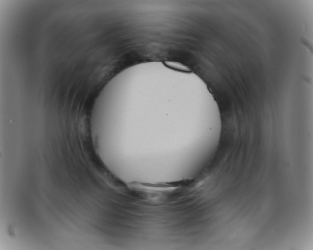 X0000097480088200803141944