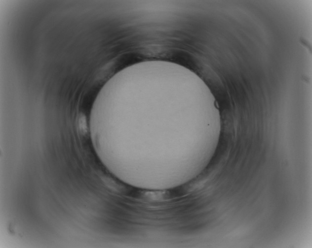 X0000097480089200803141944