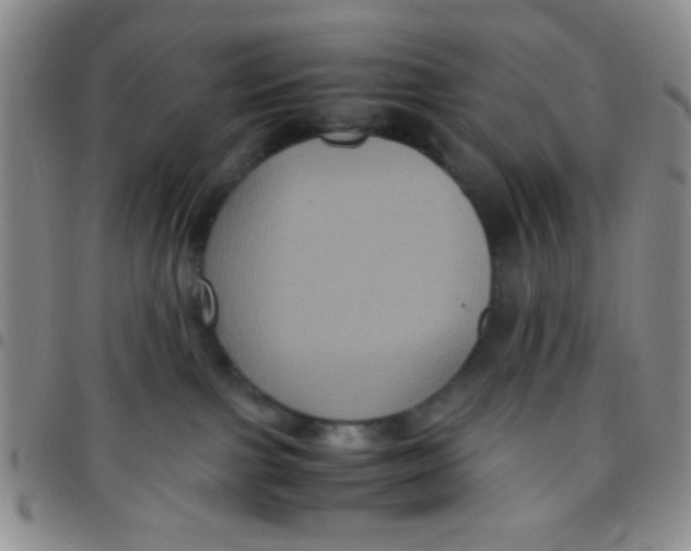 X0000097480091200803141944