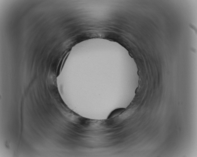 X0000097480096200803141944