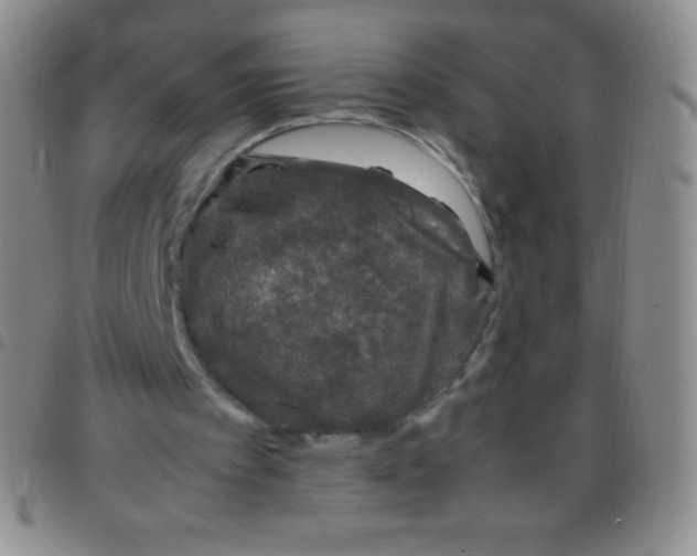 X0000097480097200803141943