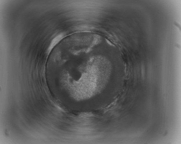 X0000097480099200803141943