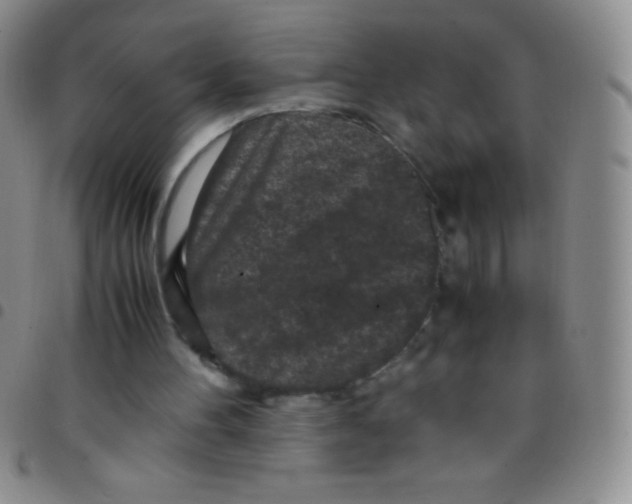 X0000097480100200803141943