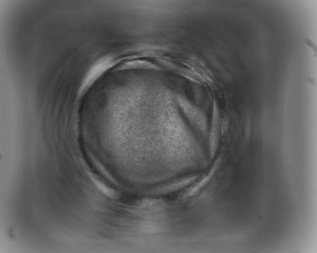 X0000097480101200803141943